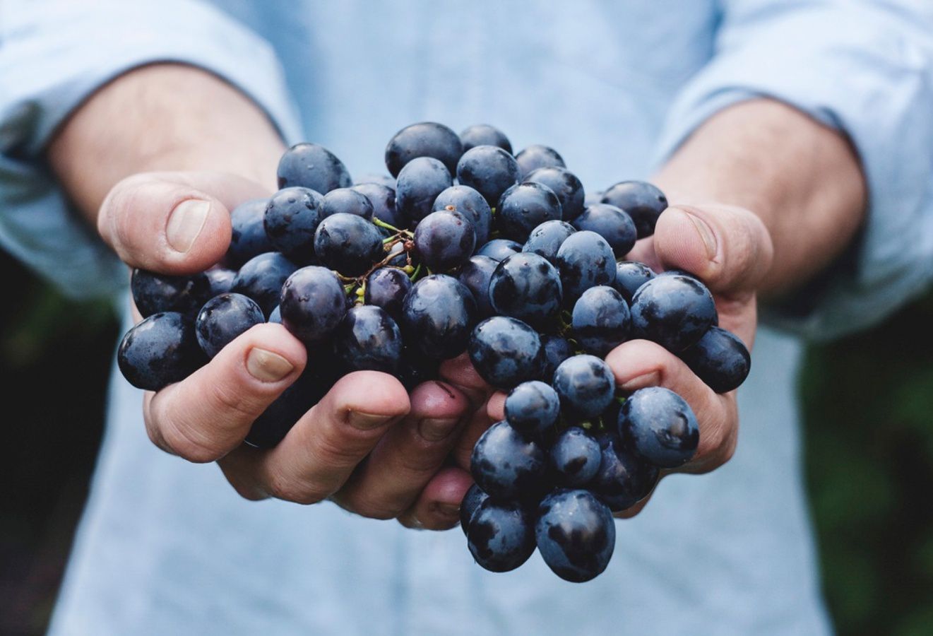 Honor the Lord with your firstfruits part II