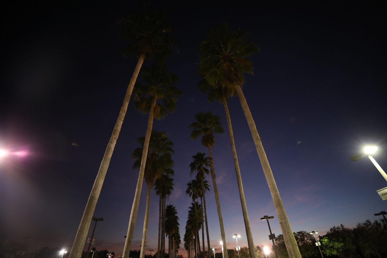 The Stand: Night 184