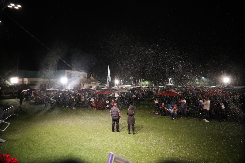 The Stand: Night 177