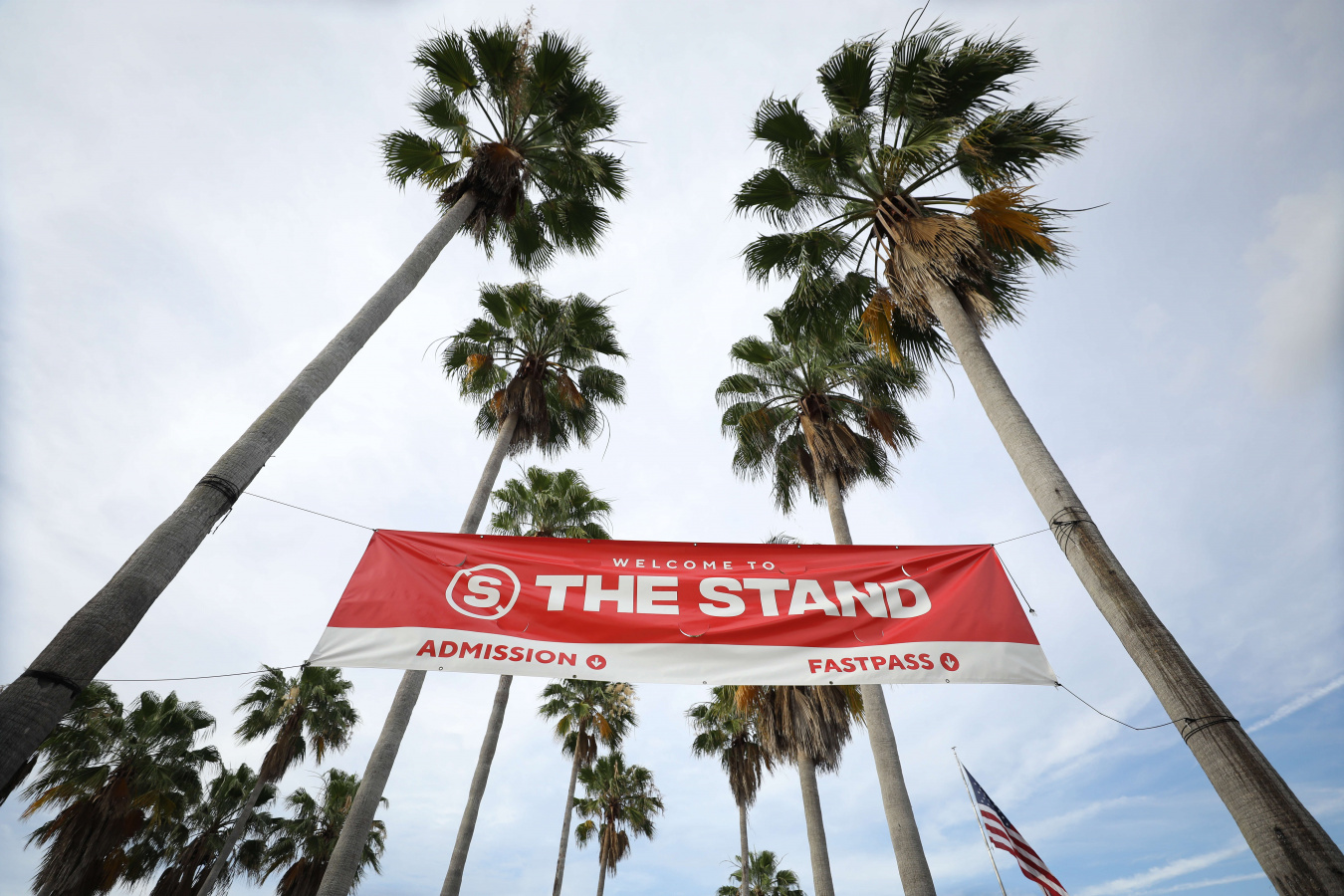 The Stand: Night 334