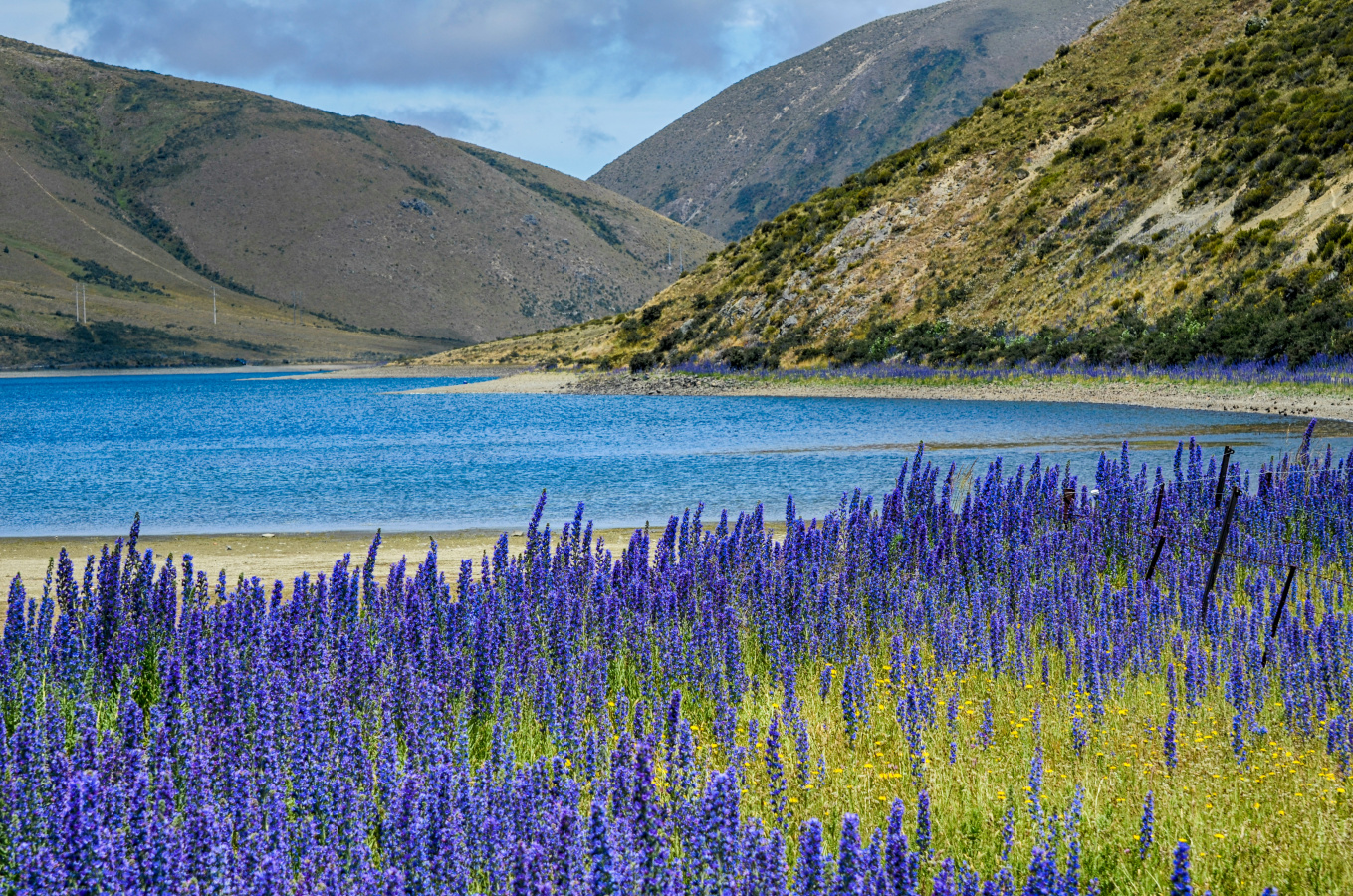 Jesus Receives Sinners