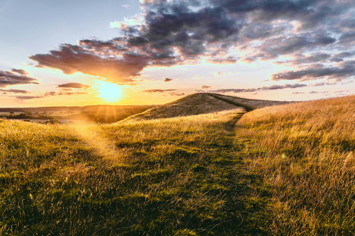 Walking in the Light