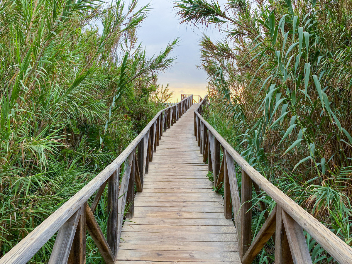 Be Strong and Courageous